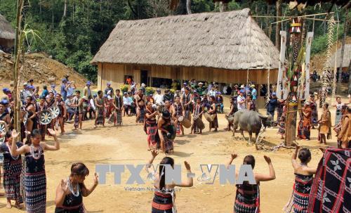 Độc đáo lễ hội khai năm tạ ơn rừng của đồng bào Cơ tu